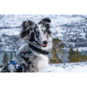 Non-stop Dogwear Polar Klick panta