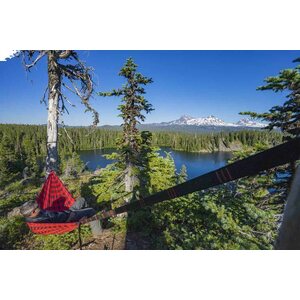 Grand Trunk Printed Double Hammock