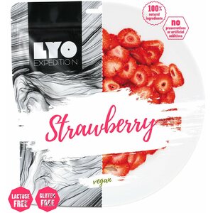 LYO Foods Strawberry 20 g