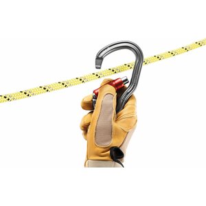 Petzl Vertigo TwistLock