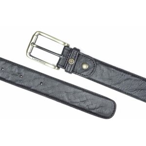 Courteney Buffalo Belt