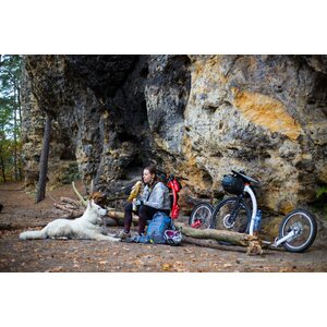 Kickbike Cross FIX