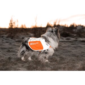 Non-stop Dogwear Reflective Blanket