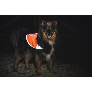 Non-stop Dogwear Reflective Blanket