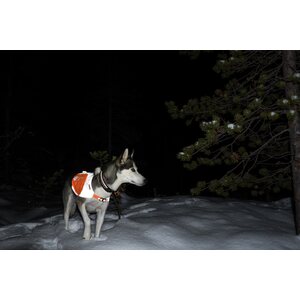 Non-stop Dogwear Reflective Blanket
