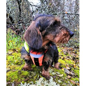 Kardog Saga - GPS Buoyancing Safety Vest