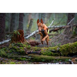 Non-stop Dogwear Protector Vest