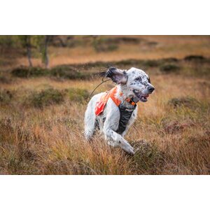 Non-stop Dogwear Protector Vest