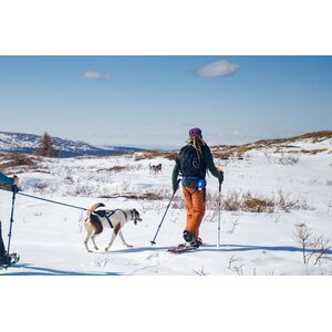 Non-stop Dogwear Ferd Belt