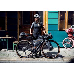 Ortlieb Frame-Pack 4L