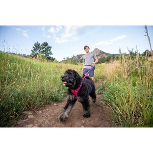 Ruffwear Front Range Harness