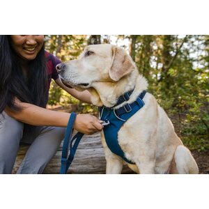 Ruffwear Front Range Harness