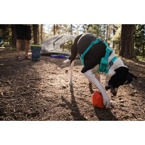 Ruffwear Front Range Harness