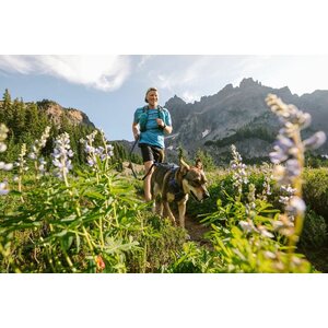 Ruffwear Front Range Harness
