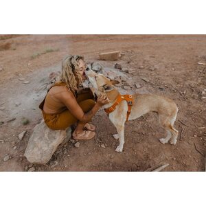 Ruffwear Front Range Harness
