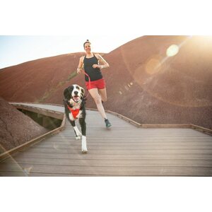 Ruffwear Front Range Harness
