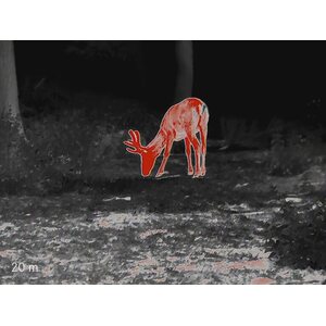 Leica Calonox Sight