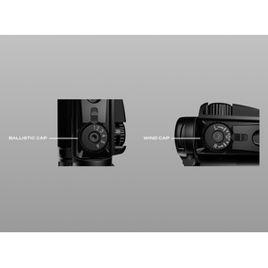 Aimpoint CompM5b 2 MOA, 39mm