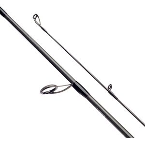Daiwa Prorex XR Spin 8'0" 7-28g Dist. D'Fin