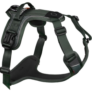 Non-stop Dogwear Ramble Harness