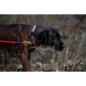 ASD Floating Check Cord