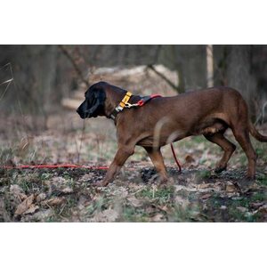 ASD Floating Check Cord