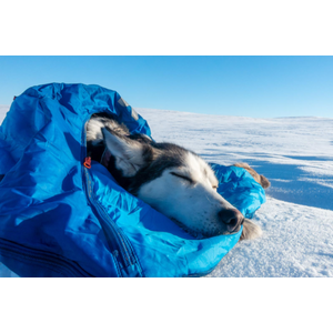 Non-stop Dogwear LY Sleeping Bag