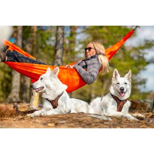 Non-stop Dogwear Rock Harness