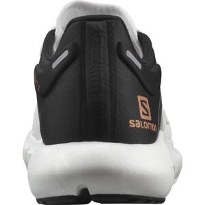 Salomon Predict 2 Womens