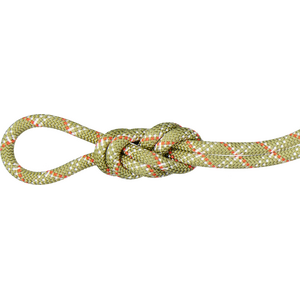 Mammut 9.5 Gym Classic Rope