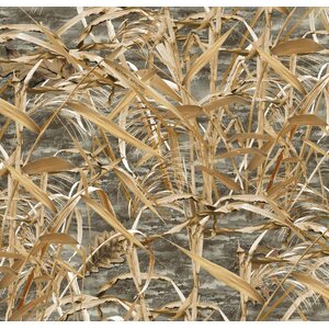 Live Decoys Camo Net - Natural Wetland