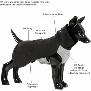Paikka Recovery Winter Shirt for Dogs