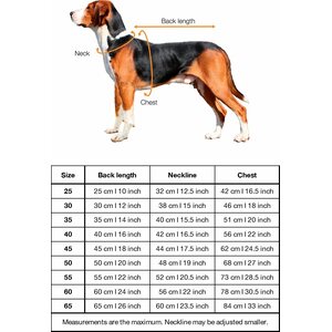 Paikka Recovery Winter Shirt for Dogs