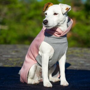 Paikka Recovery Winter Shirt for Dogs