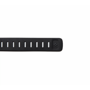 Black Diamond Ski Strap 25in