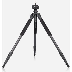 Tripod püssitoed