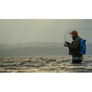 Ahrex Hooks Flexistripper