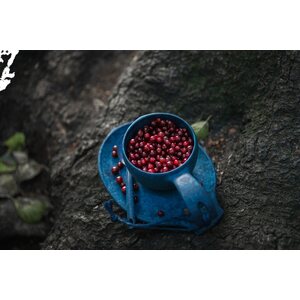 Kupilka Gift Box