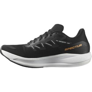 Salomon Spectur Mens