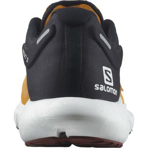 Salomon Predict 2 Mens