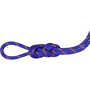 Mammut 9.0 Alpine Sender Dry Standard Rope