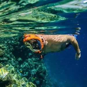 Ocean Reef Aria QR+