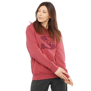 Salomon Outlife Logo Summer Hooded Pullover Womens