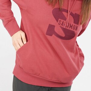 Salomon Outlife Logo Summer Hooded Pullover Womens