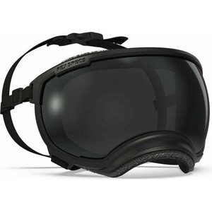 Rex Specs V2 Goggle
