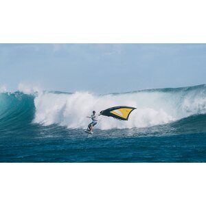 Ozone WASP V3 Wing 2.4m²