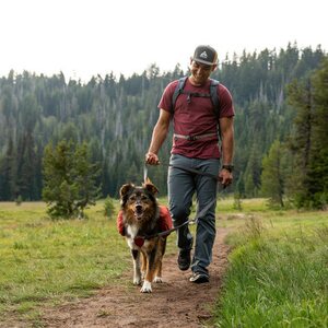 Ruffwear Front Range Leash