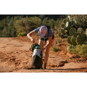 Ruffwear Swamp Cooler Harness