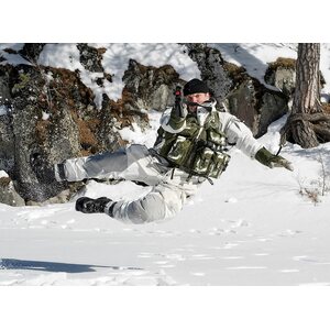 Aimpoint CompM4 2MOA Complete w/ QRP2 mount