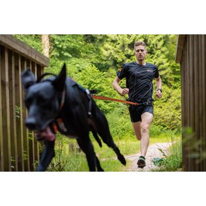 Non-stop Dogwear Bungee Leash